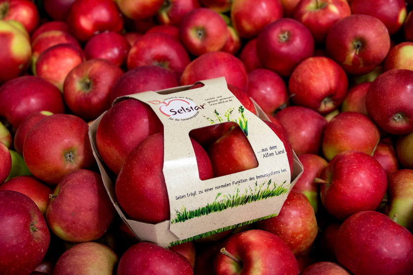 Das Bild zeigt tiefrote Äpfel. Vier der Äpfel befinden sich in einer Kartonverpackung mit dem Schriftzug "Selstar".