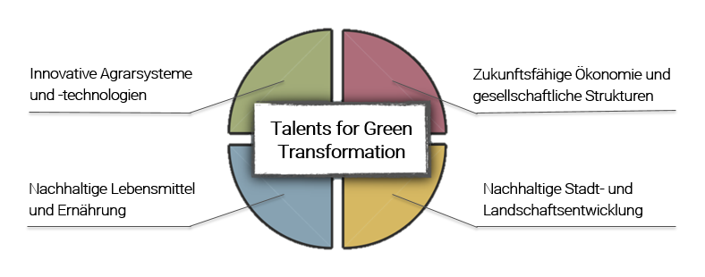 Ein Kreis ist in vier Viertel geteilt. Jedes Viertel hat eine andere Farbe: rot, gelb, grün, blau. Mittig im Kreis befindet sich ein weisses Rechteck mit der Aufschrift "Talents for Green Transformation". Von jedem Viertel geht ein Strich, zwei nach rechts und zwei nach links, ab. Oben links auf dem Strich steht: Innovative Agrarsysteme und -technologien, links unten steht: Nachhaltige Lebensmittel und Ernährung, recht oben steht: Zukunftsfähige Ökonomie und gesellschaftliche Strukturen, unten rechts steht: Nachhaltige Stadt- und Landschaftsentwicklung