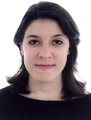 Ester Moreira de Castro Carletti
