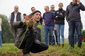 Eine Gruppe von Männern betrachten eine Bodenprobe nach der Bearbeitung des Bodens durch eine Direktsaatmaschine.