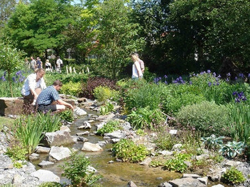 Besucher am Bachlauf im Staudengarten kurz nach der Anlage