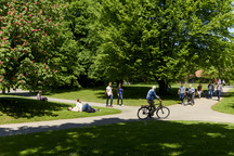 Gruener Außenbereiche auf dem Campus Haste.