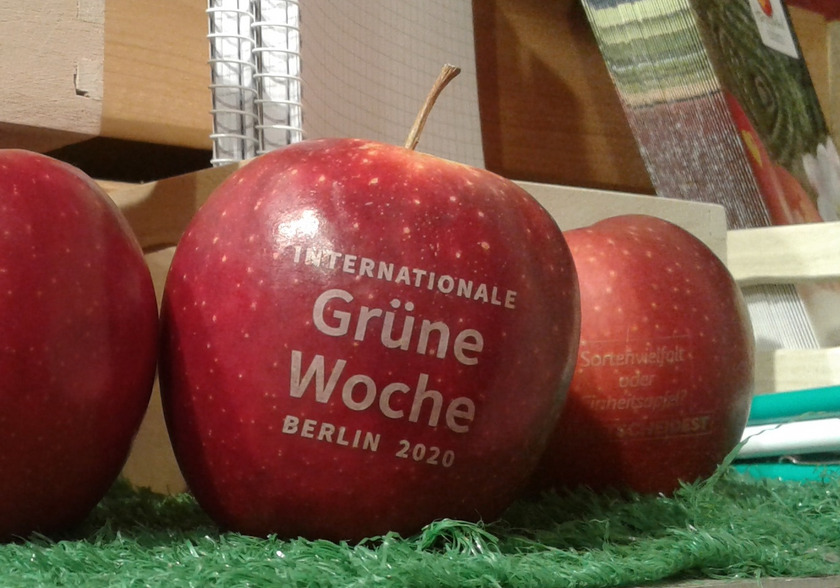 Auch Schriftzüge zur Grünen Woche können auf Äpfeln gelasert werden.