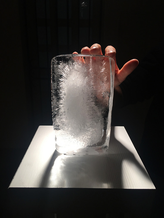 DOWN TO EARTH - interaktive Ausstellung (Foto: edgarundallen))