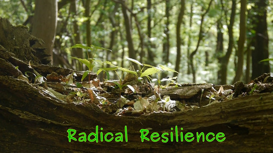 Radical Resilience (c: Radical Resilience)