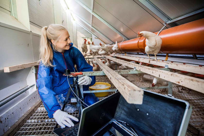 Hochschule Osnabrück im Verbundprojekt 5G - Nachhaltige Agrarwirtschaft Die Hochschule Osnabrück ist Teil des Forschungsverbundes 5G - Nachhaltige Agrarwirtschaft. Das Foto stammt aus Projekten zur Mobilstallhaltung, in denen sich die Hochschule ebenfalls engagiert.