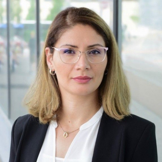 Farzaneh Vahidi
