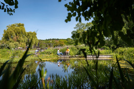 Der Teich am Staudengarten am Campus Haste in Osnabrück. Ein Studierende liest auf einer Bank ein Buch.
