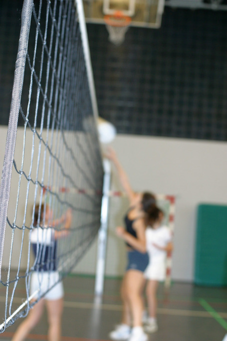 Das Bild zeigt Teilnehmerinnen und Teilnehmer des Hochschulsports beim Volleyballspielen.