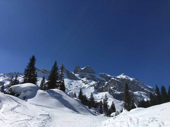 Das Bild von Gerrit Scholz zeigt eine Skipistenabfahrt