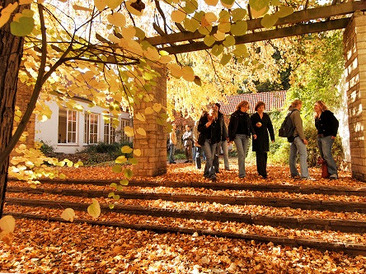 Herbst auf dem Campus - Studierende in einem Innenhof deHerbst im Campus-Park - Studierende im Innenhof des HD-Gebäudess HD-Gebäudes