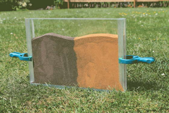 2D-Terrarium für den Bodenqualität-Test mit Regenwürmern