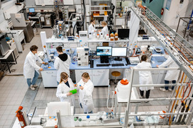 Studierende des Studiengangs Bioverfahrenstechnik arbeiten in einem Labor am Campus Westerberg.