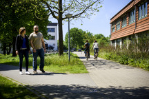 Gruener Außenbereiche auf dem Campus Haste.