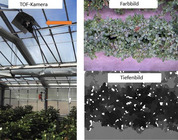 SmartGreen – Automatisierte Erfassung und erleichterte Dokumentation des Pflanzenwachstums mit Hilfe einer kostengünstigen Time of flight (TOF) - Kamera