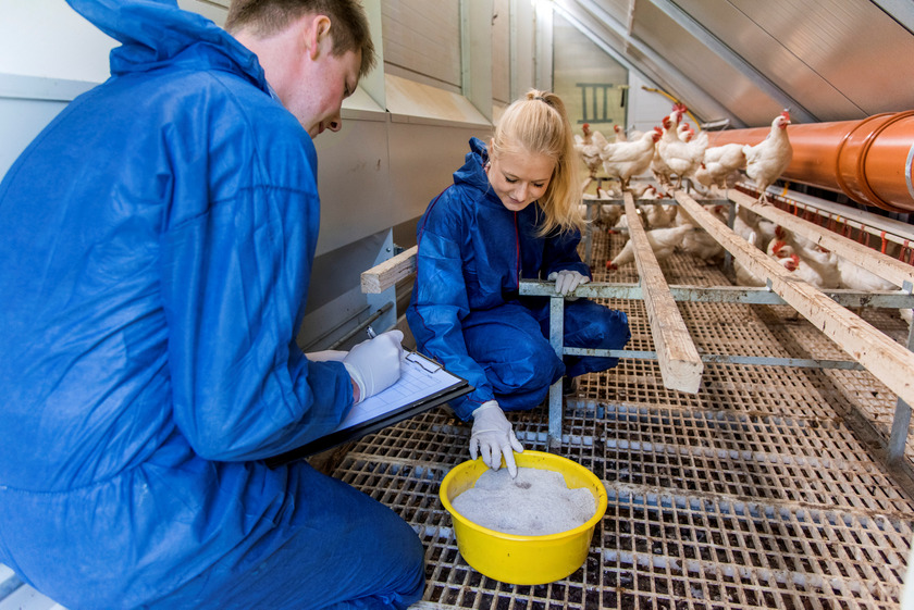 Die AG Nutztierwissenschaften der Hochschule Osnabrück spendet Kopfhauben, Handschuhe und Überziehschuhe sowie Overalls zur Bekämpfung des Coronavirus an die Region Osnabrück.