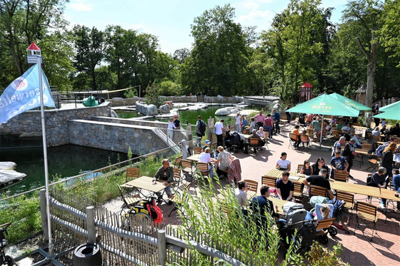Tiere und Entspannung: Die Wasserwelten im Zoo Osnabrück bieten ein einzigartiges Erlebnis.