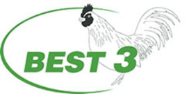 grüner Schriftzug Best 3 mit Huhn