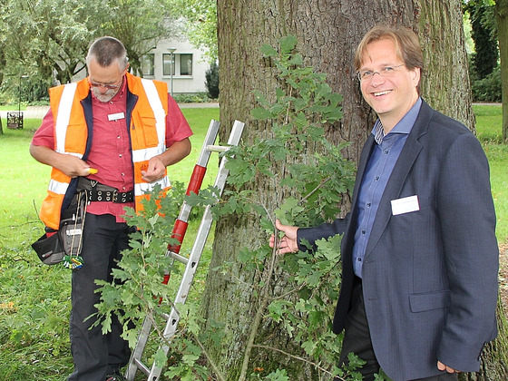 Prof. Dr. Jürgen Bouillon (rechts im Bild) im Einsatz bei den Osnabrücker Baumpflegetagen