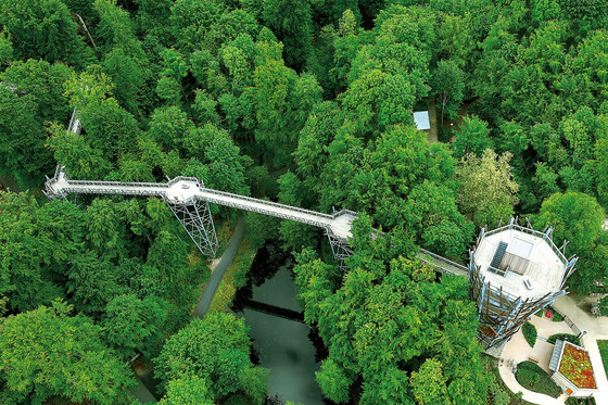 Entdecke Bad Iburg uns das südliche Osnabrücker Land auf einem Pfad durch die Baumkronen.